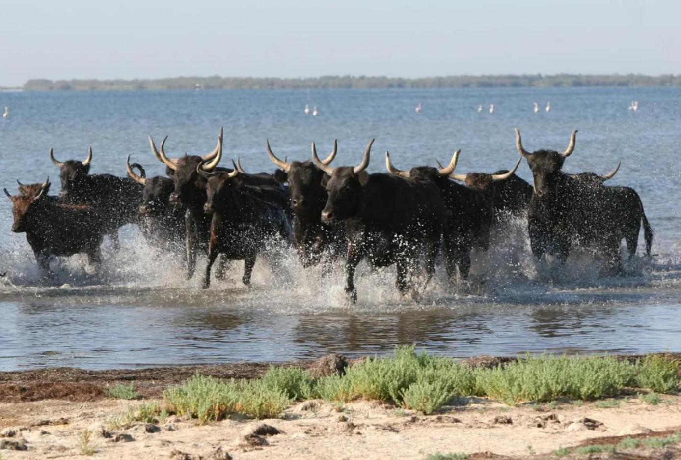 Hébergement de vacances De Provence